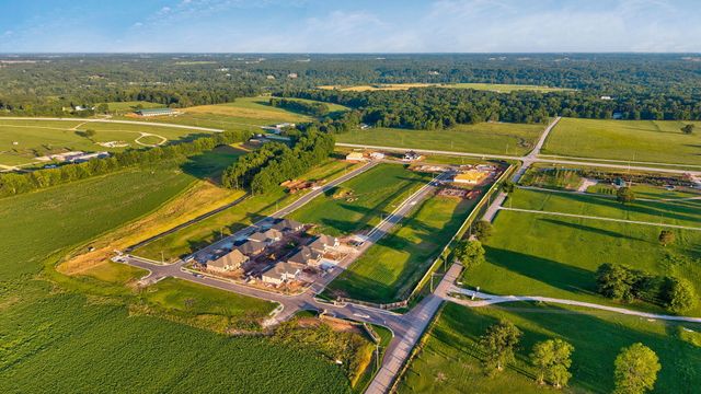 1795 S Pinecone Path, Springfield, MO 65809