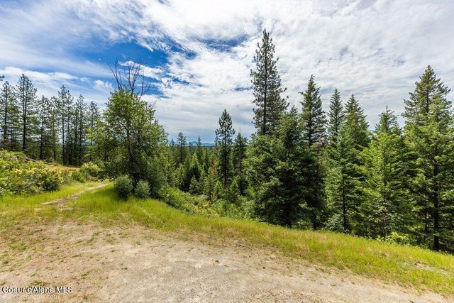 159 Cabin Ridge RD, Spirit Lake, ID 83869