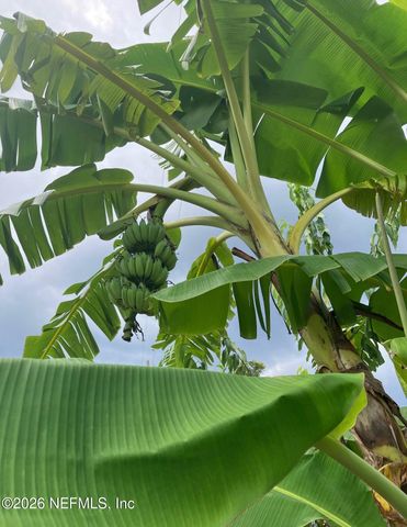 3061 PURDOM Drive, Jacksonville, FL 32223