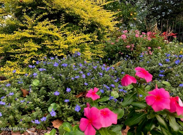 3061 PURDOM Drive, Jacksonville, FL 32223