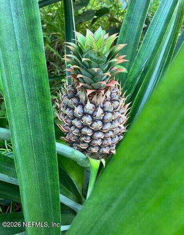 3061 PURDOM Drive, Jacksonville, FL 32223