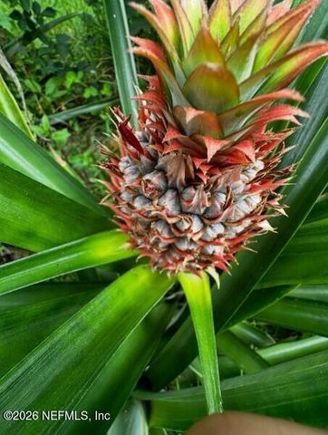 3061 PURDOM Drive, Jacksonville, FL 32223