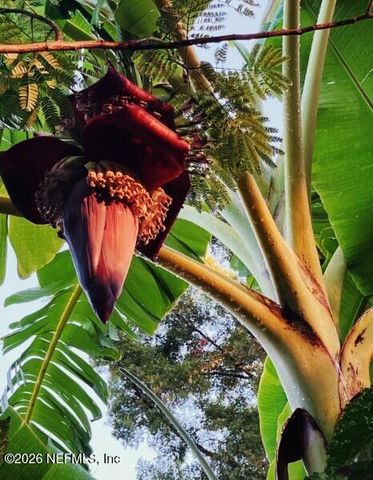 3061 PURDOM Drive, Jacksonville, FL 32223