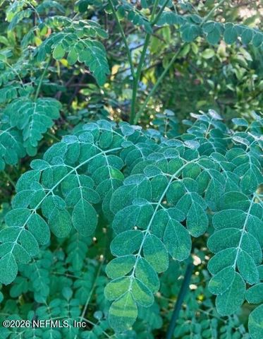 3061 PURDOM Drive, Jacksonville, FL 32223