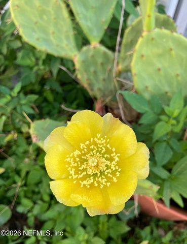 3061 PURDOM Drive, Jacksonville, FL 32223