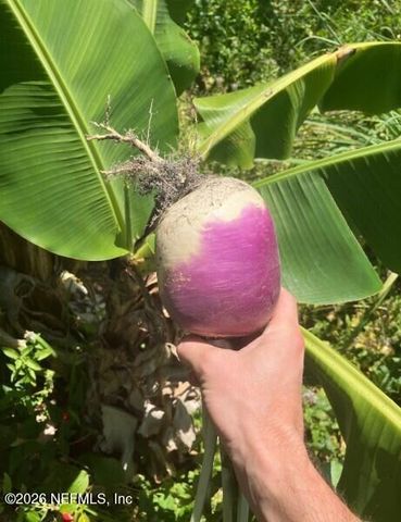 3061 PURDOM Drive, Jacksonville, FL 32223