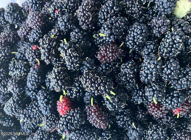 3061 PURDOM Drive, Jacksonville, FL 32223