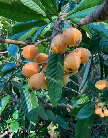 3061 PURDOM Drive, Jacksonville, FL 32223