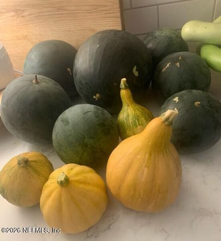 3061 PURDOM Drive, Jacksonville, FL 32223