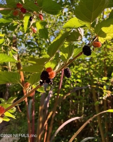 3061 PURDOM Drive, Jacksonville, FL 32223