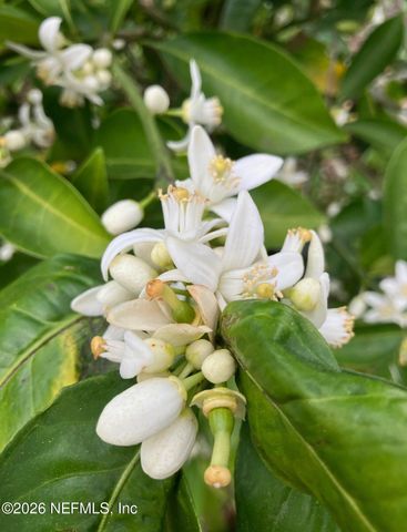 3061 PURDOM Drive, Jacksonville, FL 32223