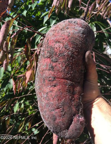 3061 PURDOM Drive, Jacksonville, FL 32223