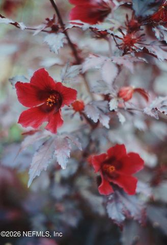 3061 PURDOM Drive, Jacksonville, FL 32223