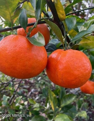 3061 PURDOM Drive, Jacksonville, FL 32223