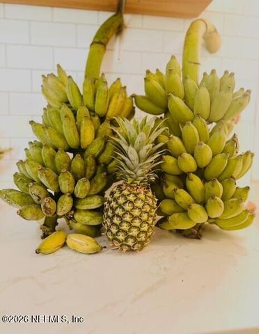 3061 PURDOM Drive, Jacksonville, FL 32223