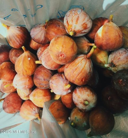 3061 PURDOM Drive, Jacksonville, FL 32223