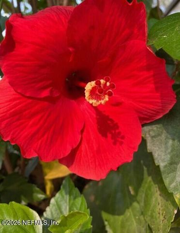 3061 PURDOM Drive, Jacksonville, FL 32223