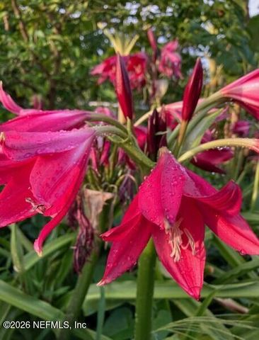 3061 PURDOM Drive, Jacksonville, FL 32223