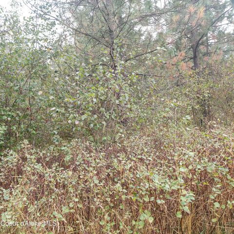 Lot 8,9,10 &11 Blk 59 F St, Plummer, ID 83851