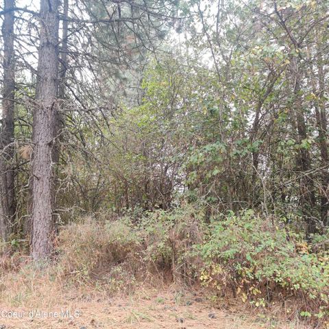 Lot 8,9,10 &11 Blk 59 F St, Plummer, ID 83851