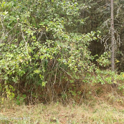 Lot 8,9,10 &11 Blk 59 F St, Plummer, ID 83851