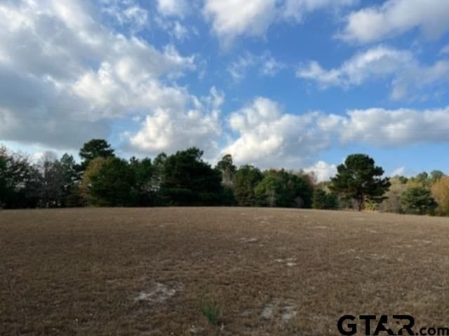 19732 CR 366, Winona, TX 75792