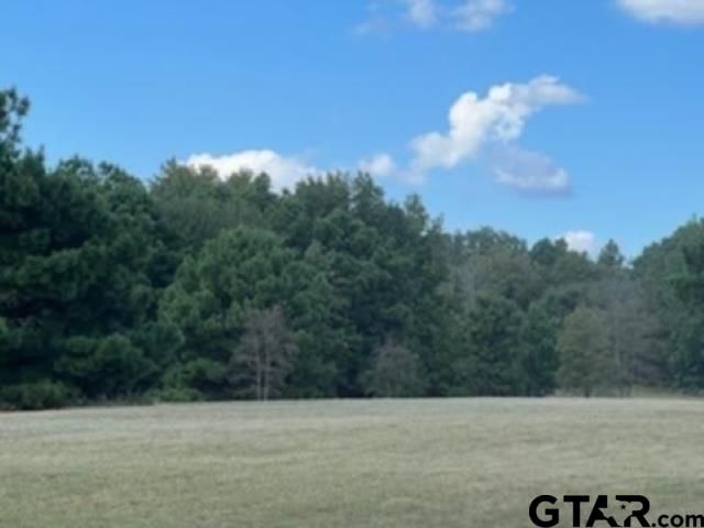 19732 CR 366, Winona, TX 75792