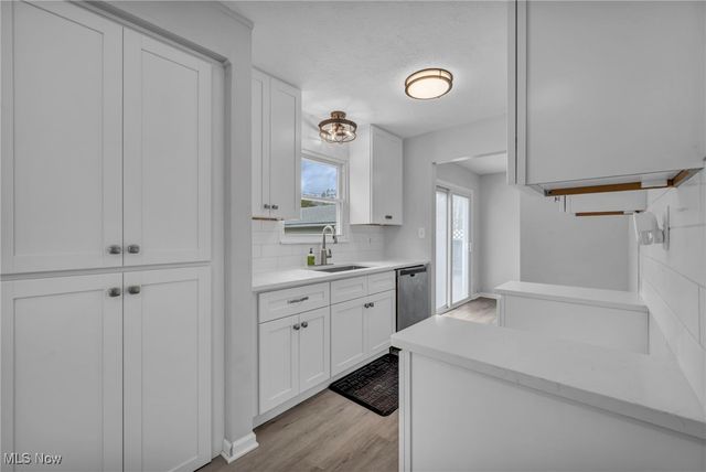 4342 Sky Lane Drive, Cleveland, OH 44109