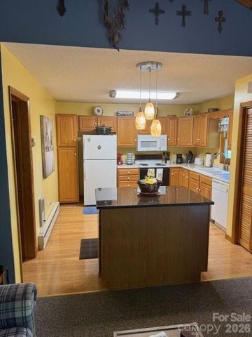918 Plott Balsam Road, Maggie Valley, NC 28751