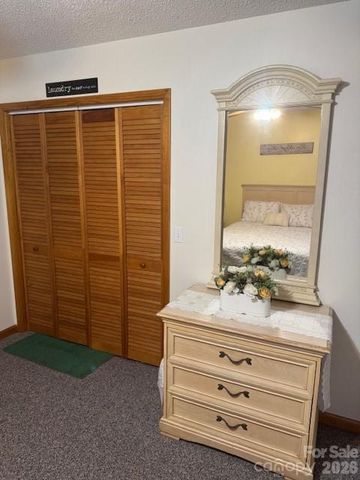 918 Plott Balsam Road, Maggie Valley, NC 28751