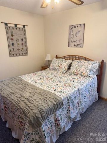 918 Plott Balsam Road, Maggie Valley, NC 28751