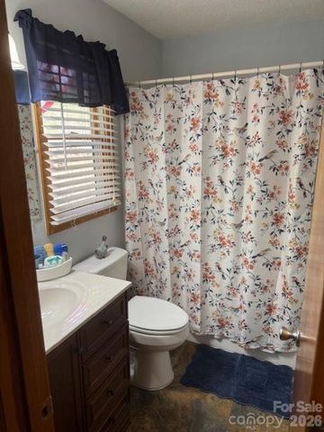 918 Plott Balsam Road, Maggie Valley, NC 28751
