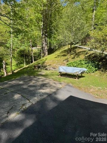 918 Plott Balsam Road, Maggie Valley, NC 28751