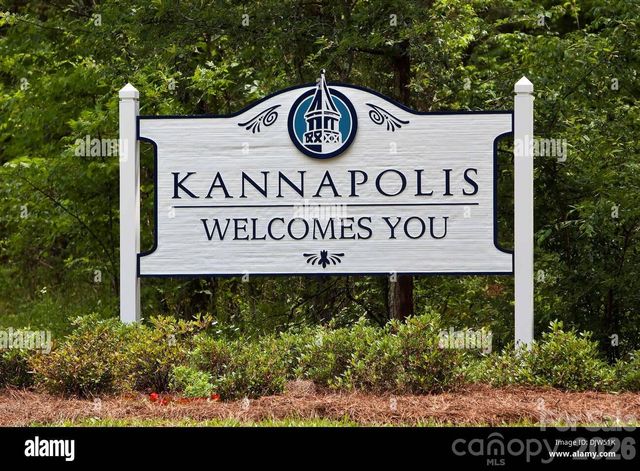 315 S Rose Avenue, Kannapolis, NC 28083