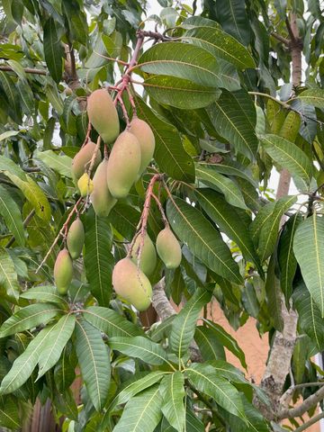 11420 NW 35th Street, Sunrise, FL 33323