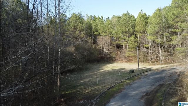 0 WILLOW CREEK DRIVE, Lincoln, AL 35096