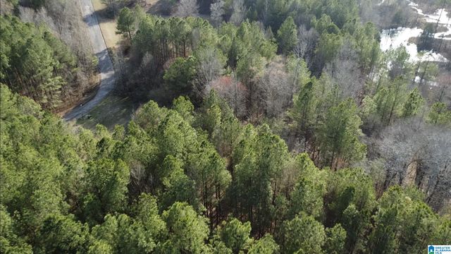 0 WILLOW CREEK DRIVE, Lincoln, AL 35096