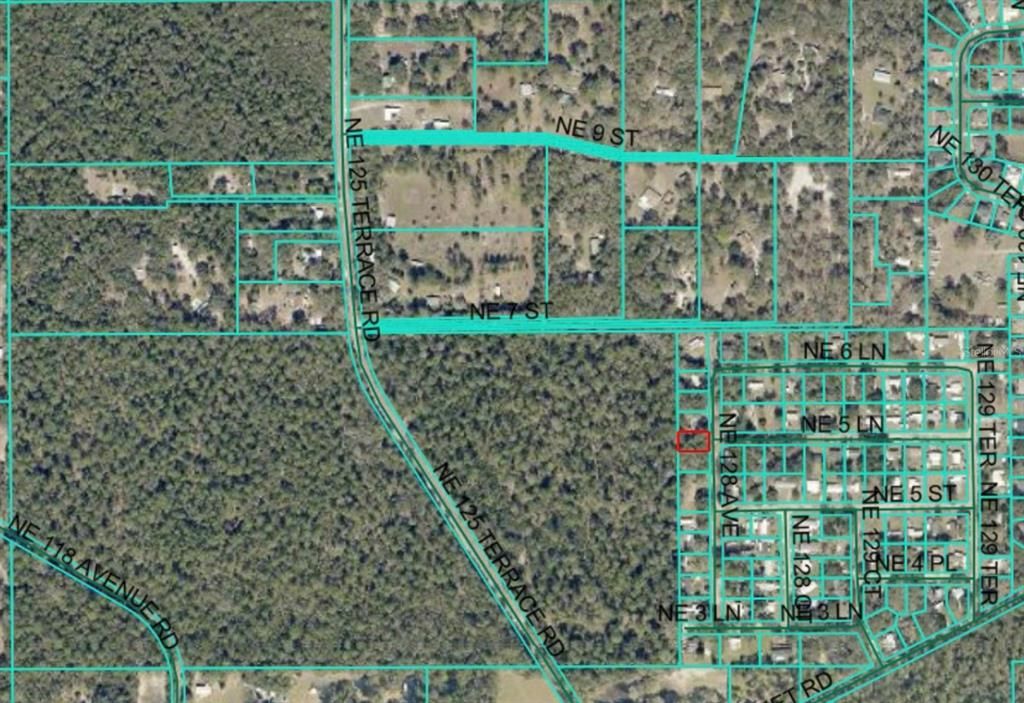 NE 128TH AVENUE, Silver Springs, FL 34488