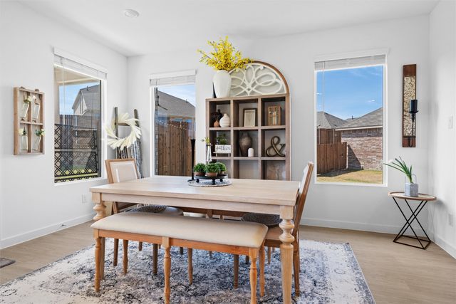 321 Sedalia Trail, Justin, TX 76247