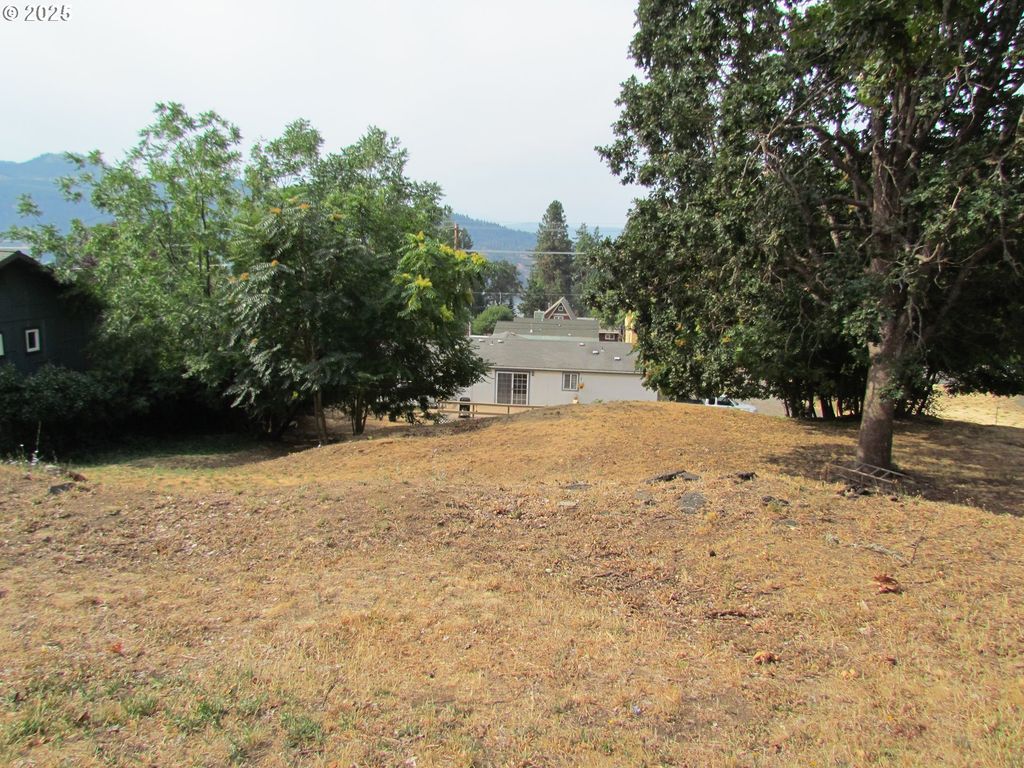 Lot off Vine St, White Salmon, WA 98672