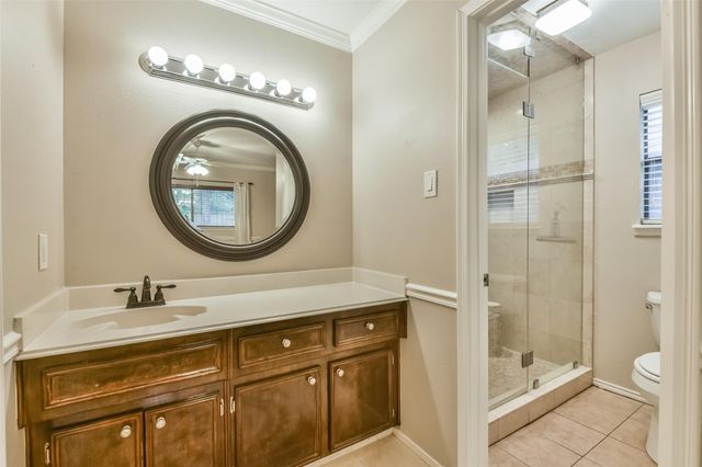 20 Tulip Hill Court, Spring, TX 77380