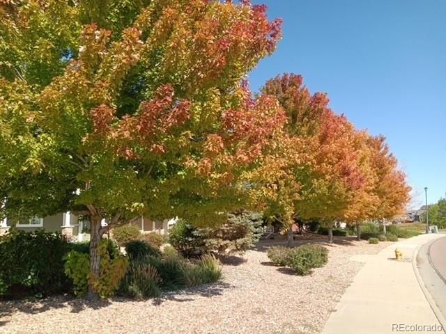 10191 Roughshod Court, Colorado Springs, CO 80925