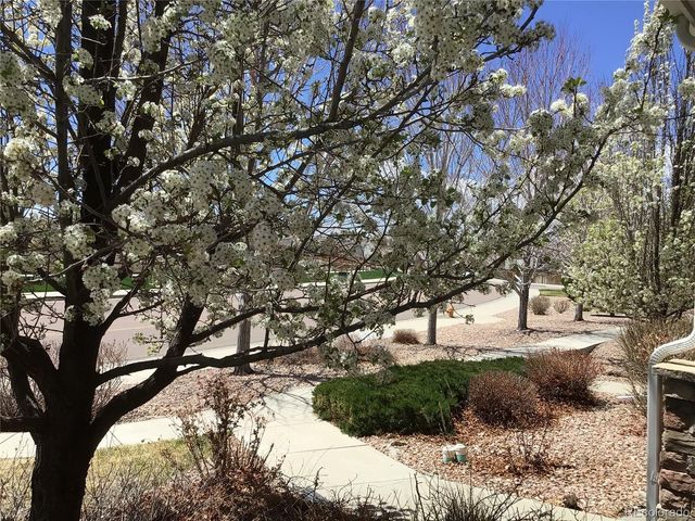 10191 Roughshod Court, Colorado Springs, CO 80925