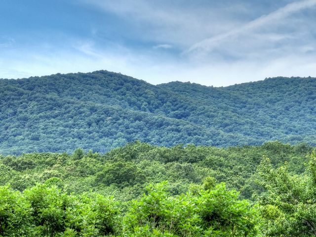 95 Laughing Bird Lane, Ellijay, GA 30536
