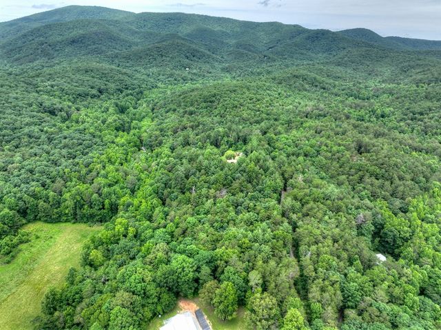 95 Laughing Bird Lane, Ellijay, GA 30536