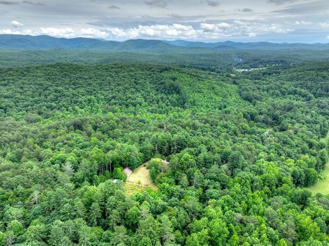 95 Laughing Bird Lane, Ellijay, GA 30536
