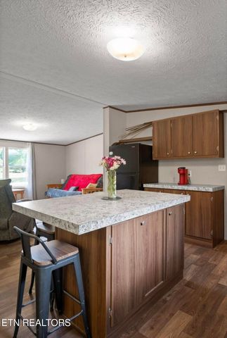 934 Holly Glen Ln, Decatur, TN 37322