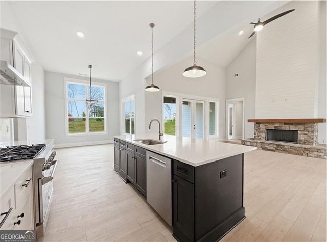 115 Palisade Drive, Rydal, GA 30171