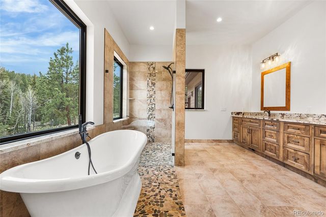 280 Double Tree Road, Bailey, CO 80421