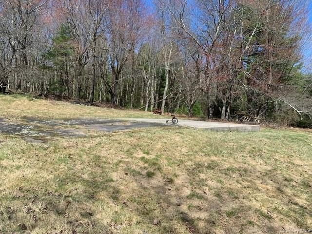 25 Wild Turnpike, Rock Hill, NY 12775